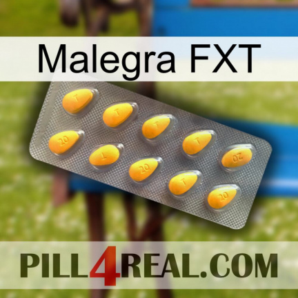 Malegra FXT cialis1